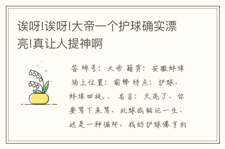 诶呀!诶呀!大帝一个护球确实漂亮!真让人提神啊