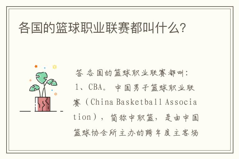 各国的篮球职业联赛都叫什么?