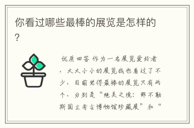 你看过哪些最棒的展览是怎样的?
