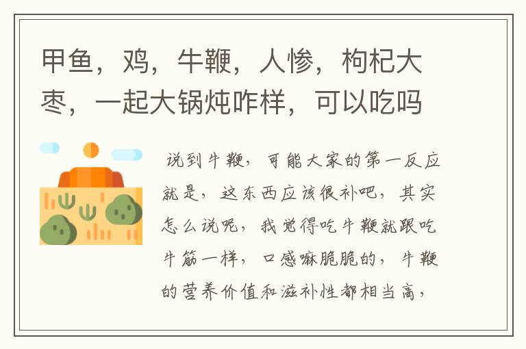 甲鱼,鸡,牛鞭,人惨,枸杞大枣,一起大锅炖咋样,可以吃吗?