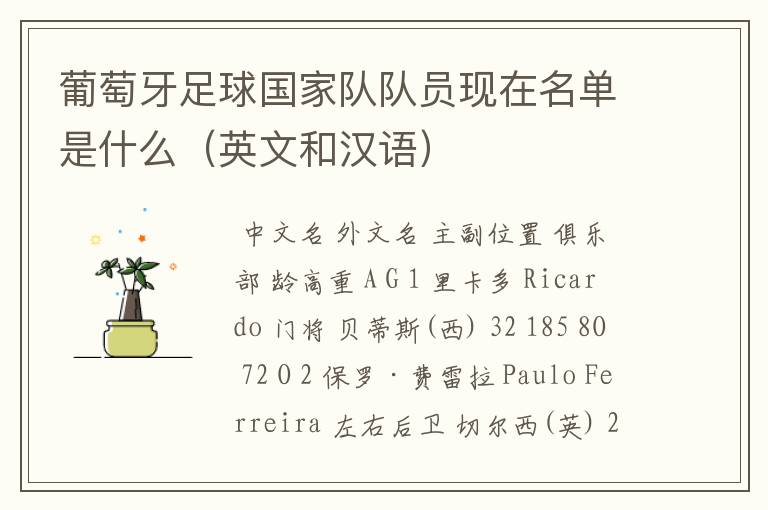 葡萄牙足球国家队队员现在名单是什么(英文和汉语)