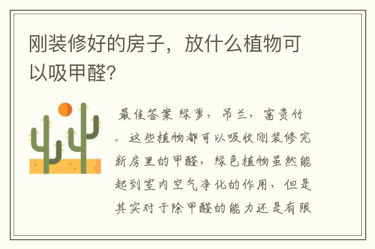 刚装修好的房子,放什么植物可以吸甲醛?