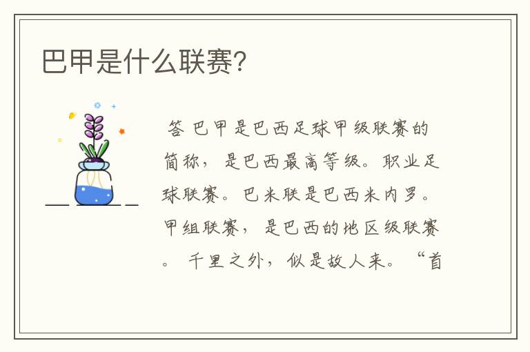 巴甲是什么联赛?