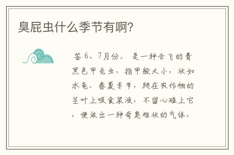 臭屁虫什么季节有啊?