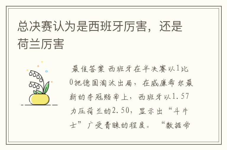 总决赛认为是西班牙厉害,还是荷兰厉害