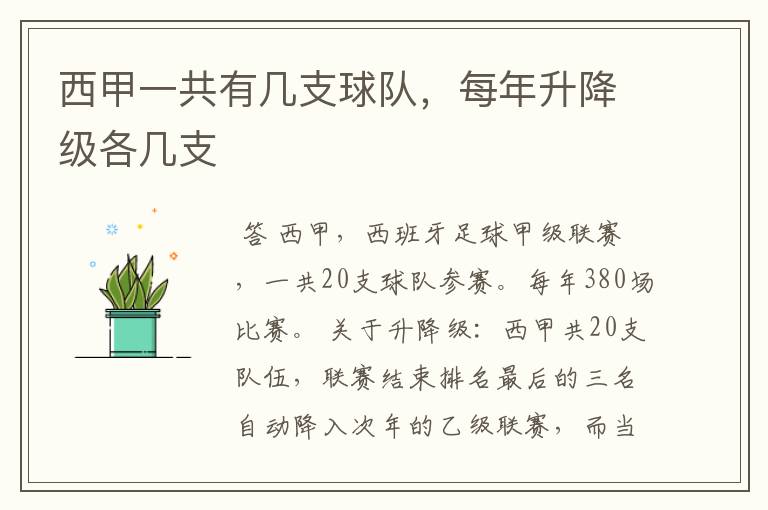 西甲一共有几支球队,每年升降级各几支