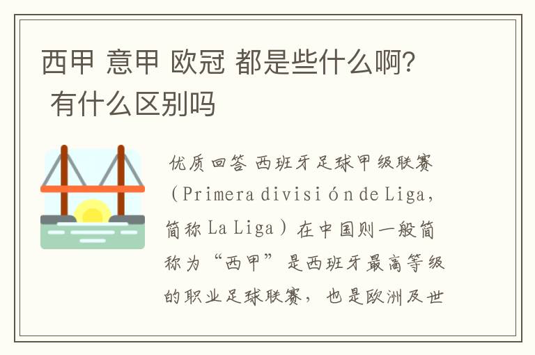 西甲 意甲 欧冠 都是些什么啊? 有什么区别吗