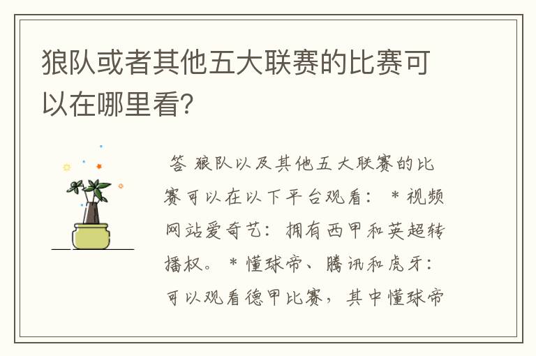 狼队或者其他五大联赛的比赛可以在哪里看?