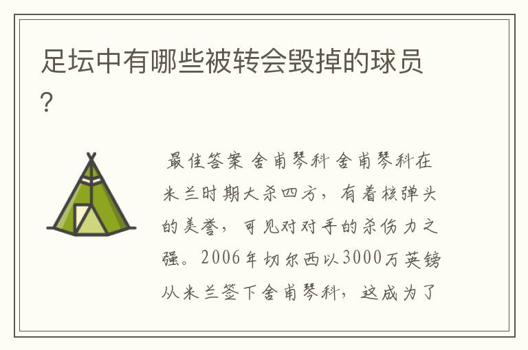 足坛中有哪些被转会毁掉的球员?