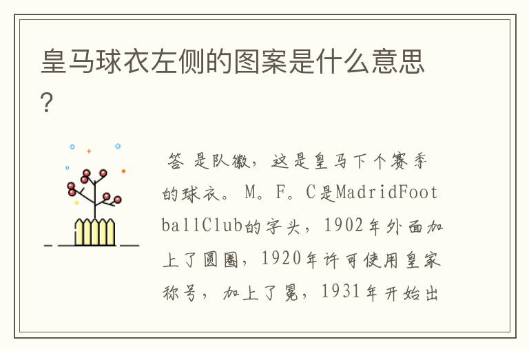 皇马球衣左侧的图案是什么意思?