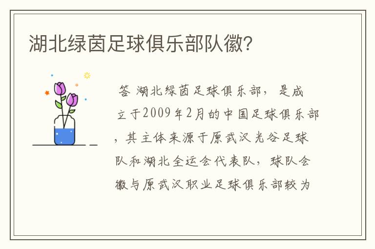 湖北绿茵足球俱乐部队徽？