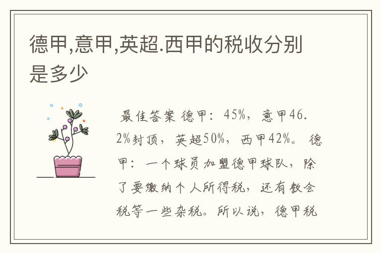 德甲,意甲,英超.西甲的税收分别是多少
