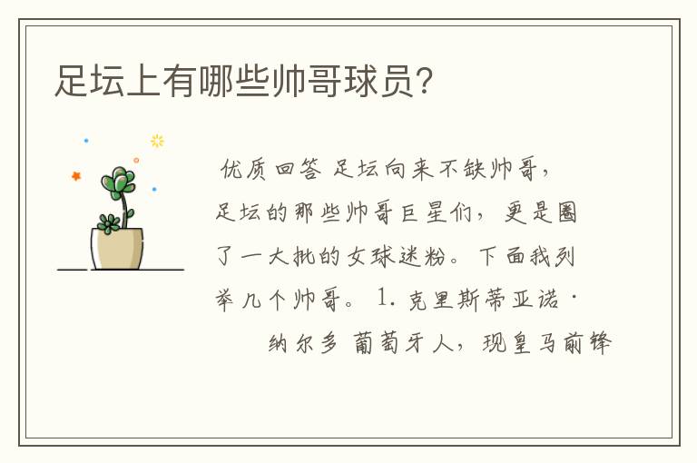 足坛上有哪些帅哥球员?
