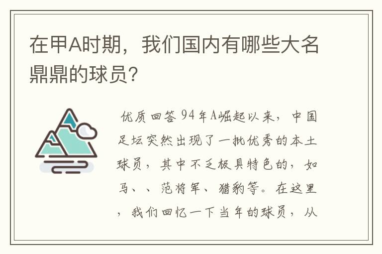 在甲A时期,我们国内有哪些大名鼎鼎的球员?