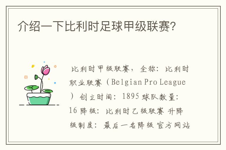 介绍一下比利时足球甲级联赛?