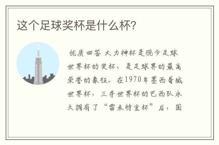 这个足球奖杯是什么杯?