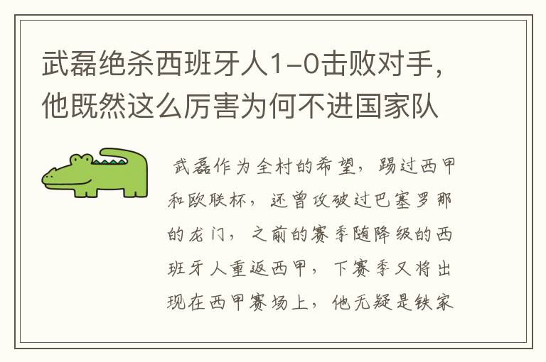 武磊绝杀西班牙人1-0击败对手,他既然这么厉害为何不进国家队?