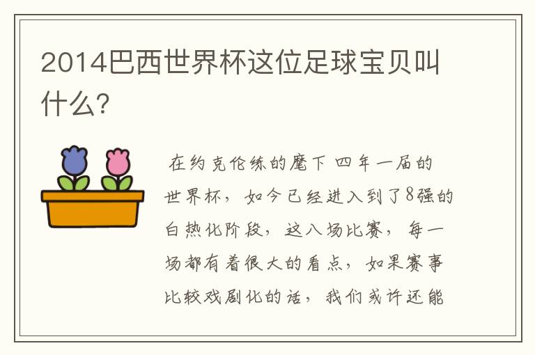 2014巴西世界杯这位足球宝贝叫什么?
