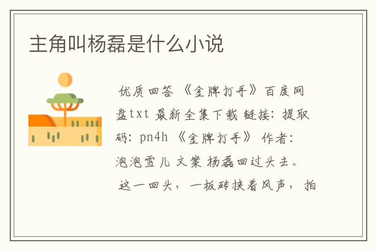 主角叫杨磊是什么小说