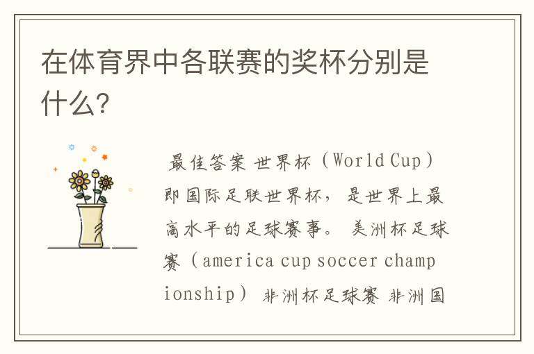 在体育界中各联赛的奖杯分别是什么?