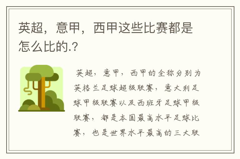 英超,意甲,西甲这些比赛都是怎么比的.?