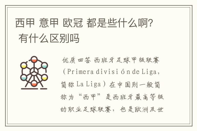 西甲 意甲 欧冠 都是些什么啊? 有什么区别吗