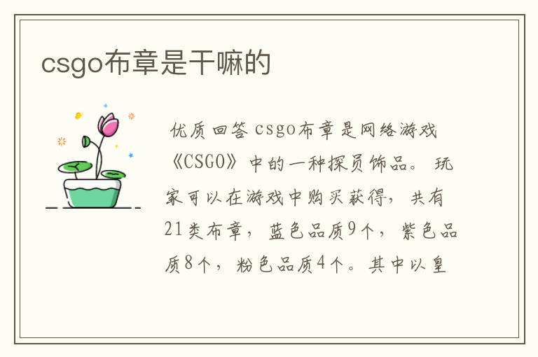 csgo布章是干嘛的