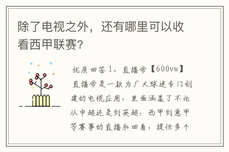 除了电视之外,还有哪里可以收看西甲联赛?