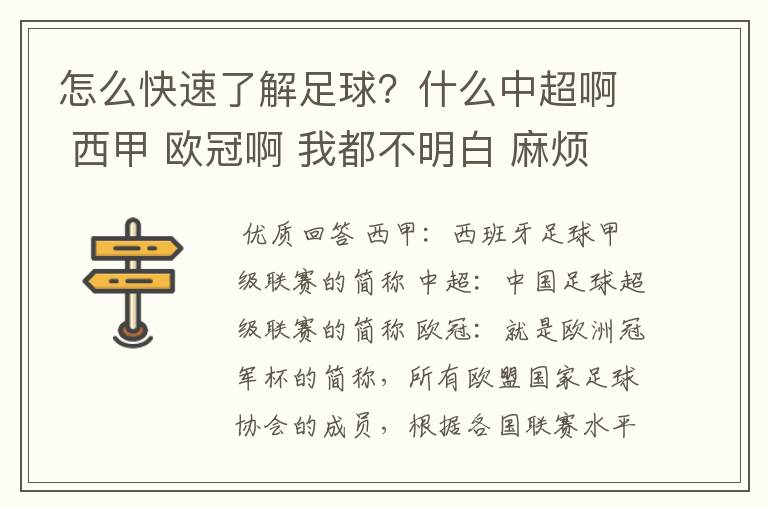 怎么快速了解足球?什么中超啊 西甲 欧冠啊 我都不明白 麻烦 有哪位特别了解足球的 跟我讲讲,多谢