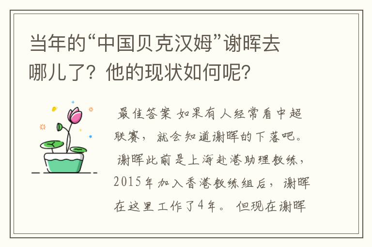 当年的“中国贝克汉姆”谢晖去哪儿了?他的现状如何呢?
