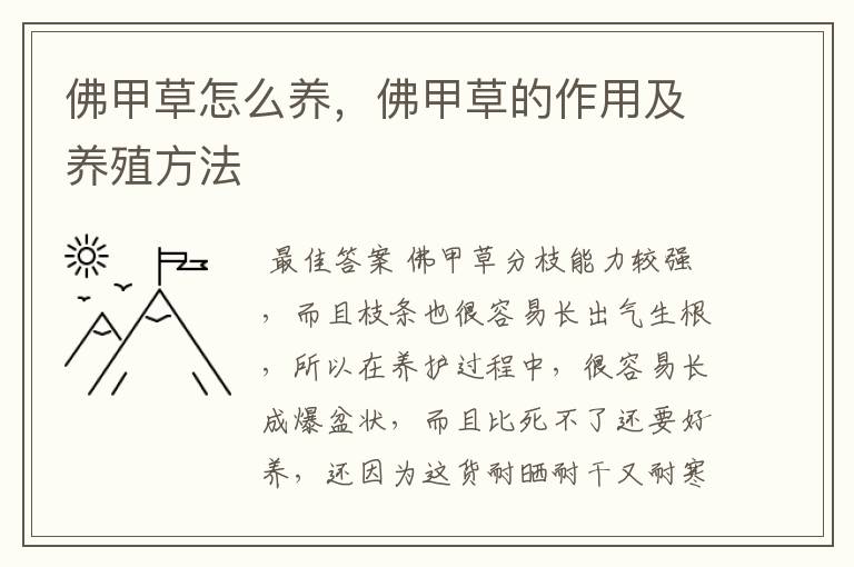 佛甲草怎么养,佛甲草的作用及养殖方法