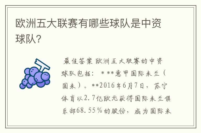 欧洲五大联赛有哪些球队是中资球队?