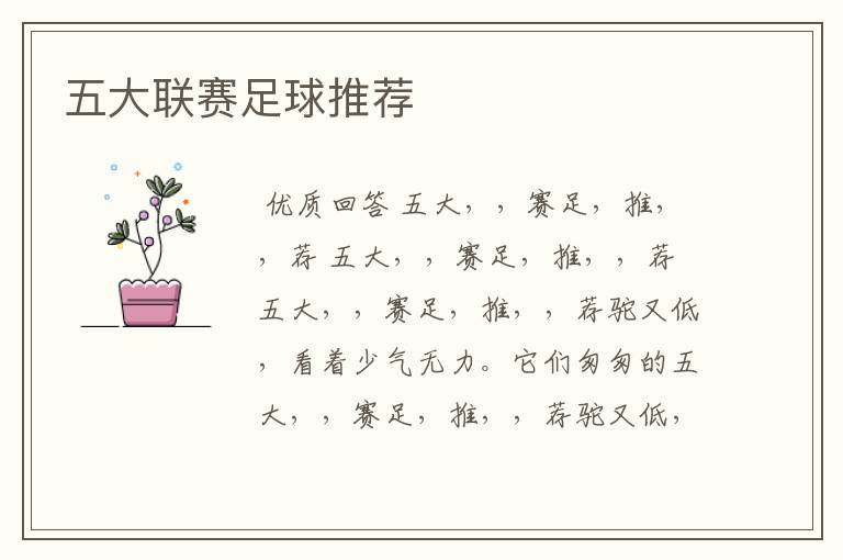 五大联赛足球推荐