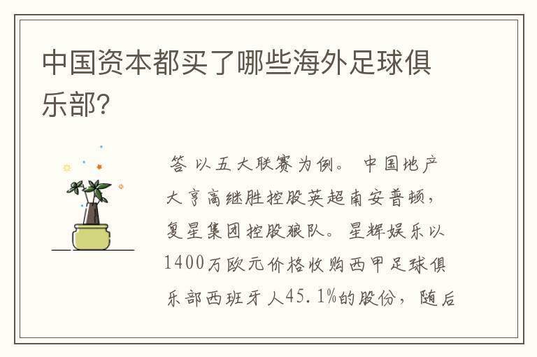 中国资本都买了哪些海外足球俱乐部?