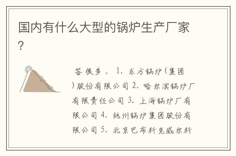 国内有什么大型的锅炉生产厂家?