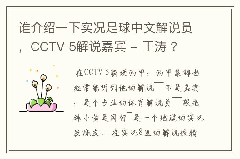 谁介绍一下实况足球中文解说员,CCTV 5解说嘉宾 - 王涛 ?