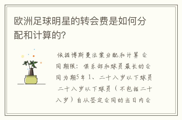 欧洲足球明星的转会费是如何分配和计算的?