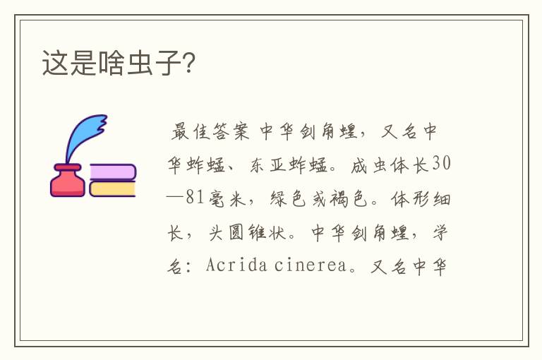 这是啥虫子?