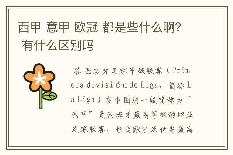西甲 意甲 欧冠 都是些什么啊? 有什么区别吗