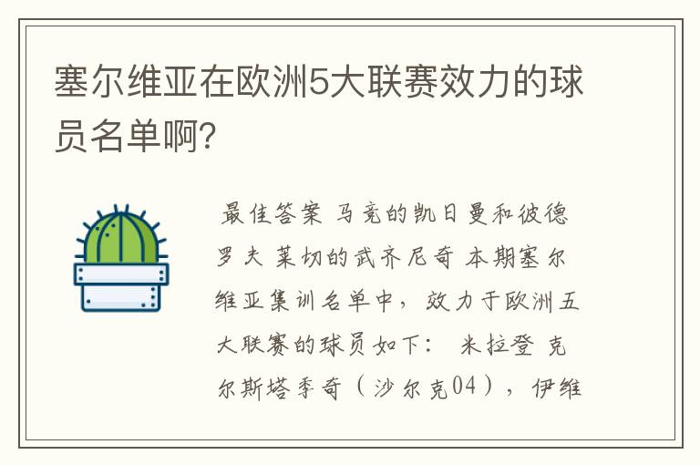 塞尔维亚在欧洲5大联赛效力的球员名单啊?