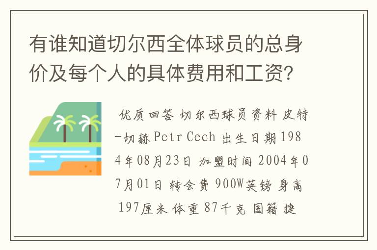 有谁知道切尔西全体球员的总身价及每个人的具体费用和工资?