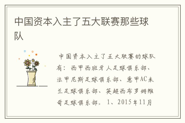 中国资本入主了五大联赛那些球队