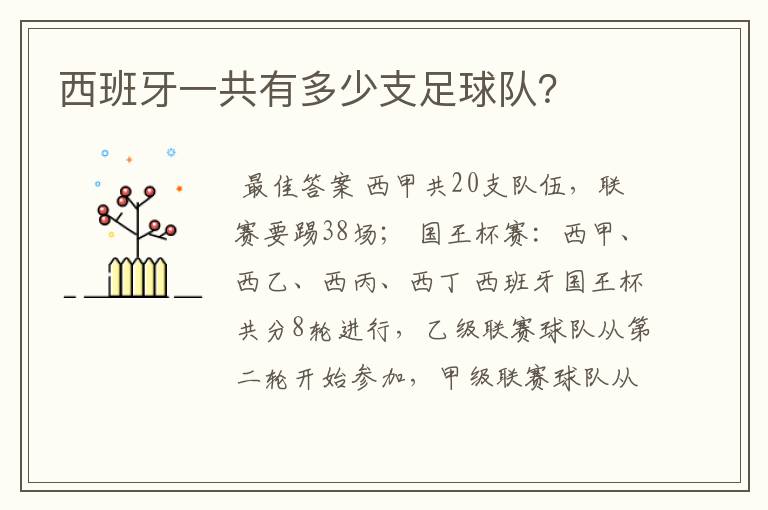 西班牙一共有多少支足球队?
