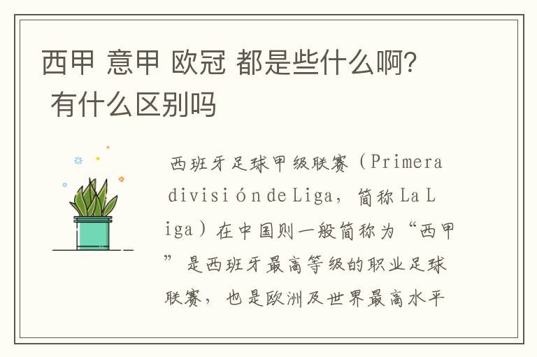 西甲 意甲 欧冠 都是些什么啊? 有什么区别吗