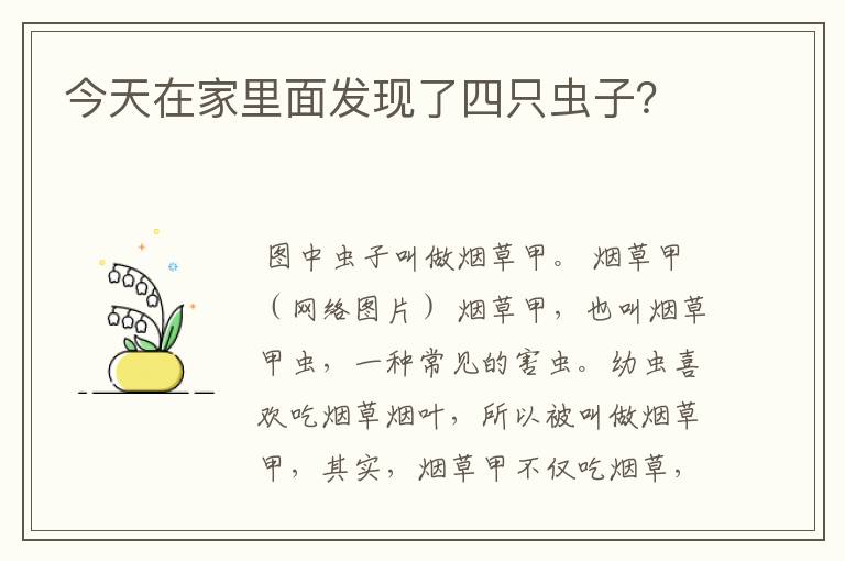 今天在家里面发现了四只虫子?