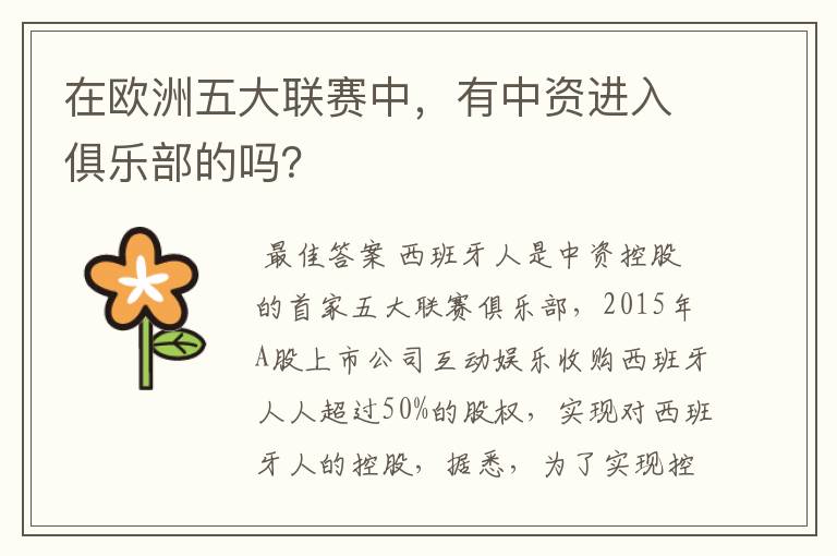 在欧洲五大联赛中,有中资进入俱乐部的吗?