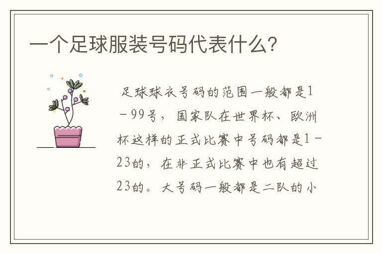 一个足球服装号码代表什么？