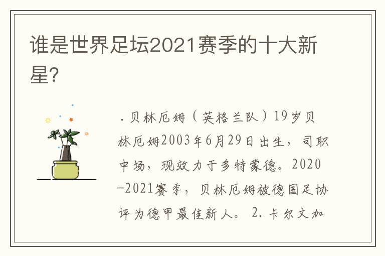 谁是世界足坛2021赛季的十大新星?