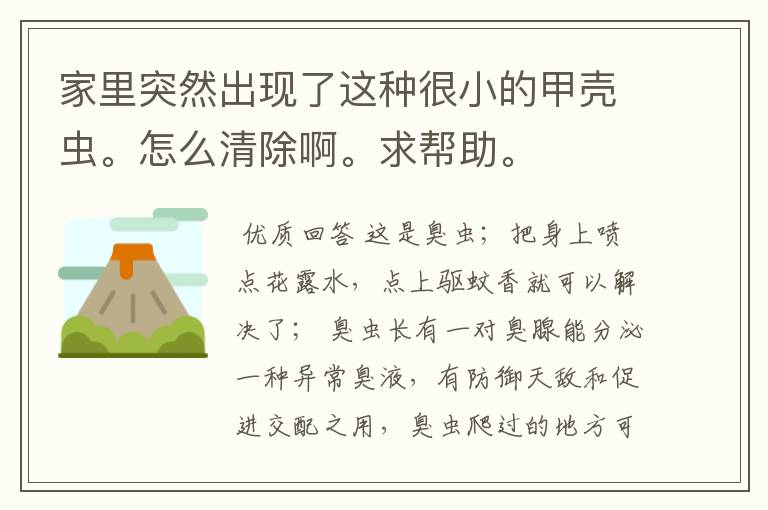 家里突然出现了这种很小的甲壳虫。怎么清除啊。求帮助。
