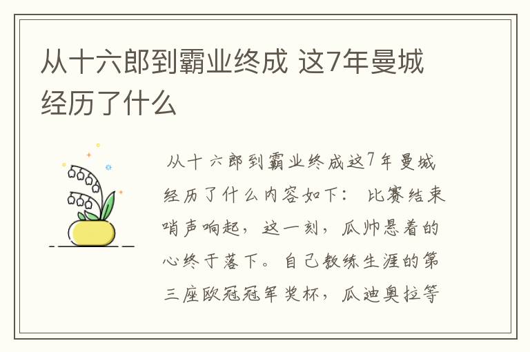 从十六郎到霸业终成 这7年曼城经历了什么